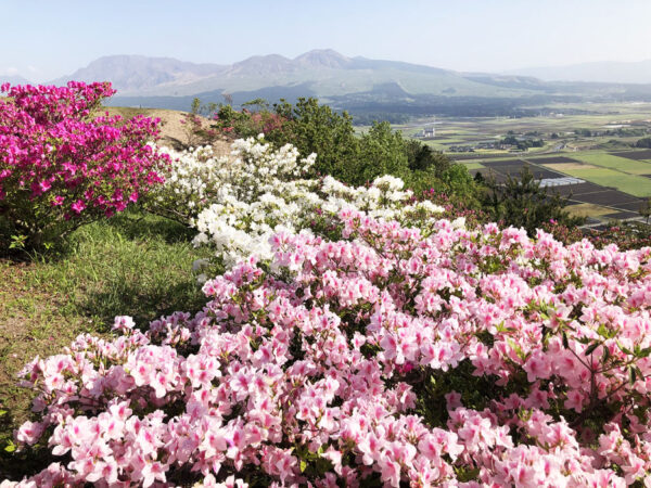 天空の桟橋 熊本阿蘇 田子山展望所そらふねの桟橋 れきマロン